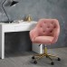 Darwin Office Chair Pink Darwin Office Chair Pink